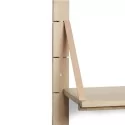 Shelf / STRAP system