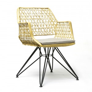 ANTI-C 105 chair gold/white