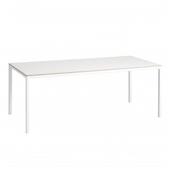 T12 Table white
